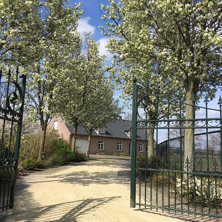 Vakantiewoning Pelterheggen Grote Heide Zewnętrze zdjęcie