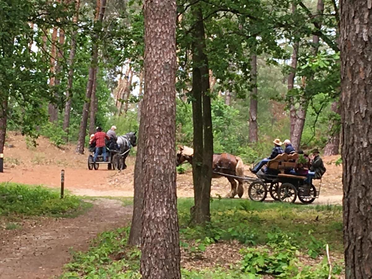 Vakantiewoning Pelterheggen Grote Heide Zewnętrze zdjęcie