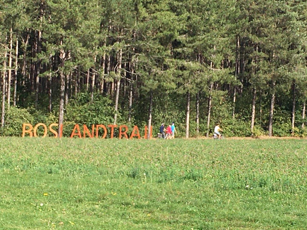 Vakantiewoning Pelterheggen Grote Heide Zewnętrze zdjęcie