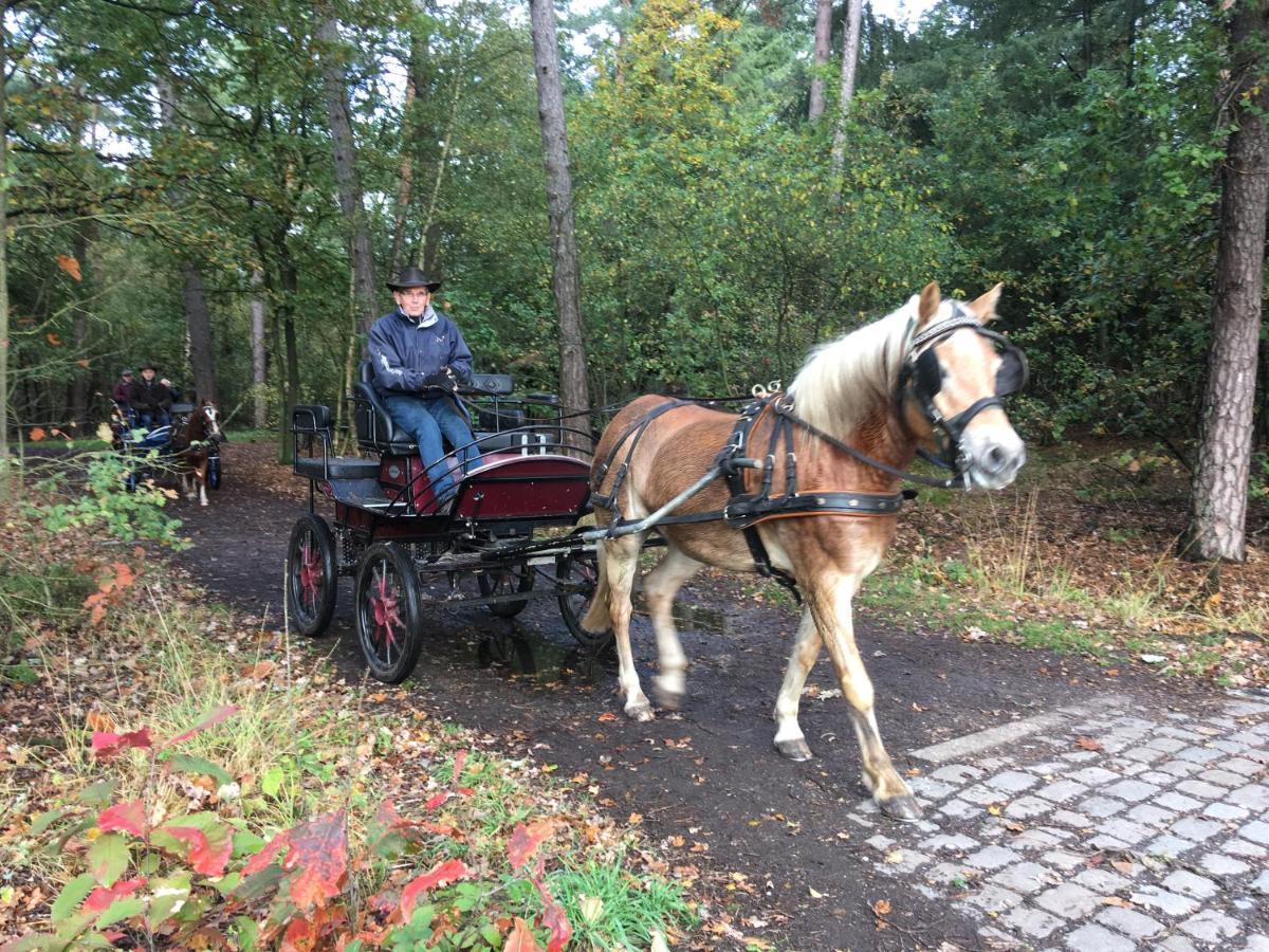 Vakantiewoning Pelterheggen Grote Heide Zewnętrze zdjęcie