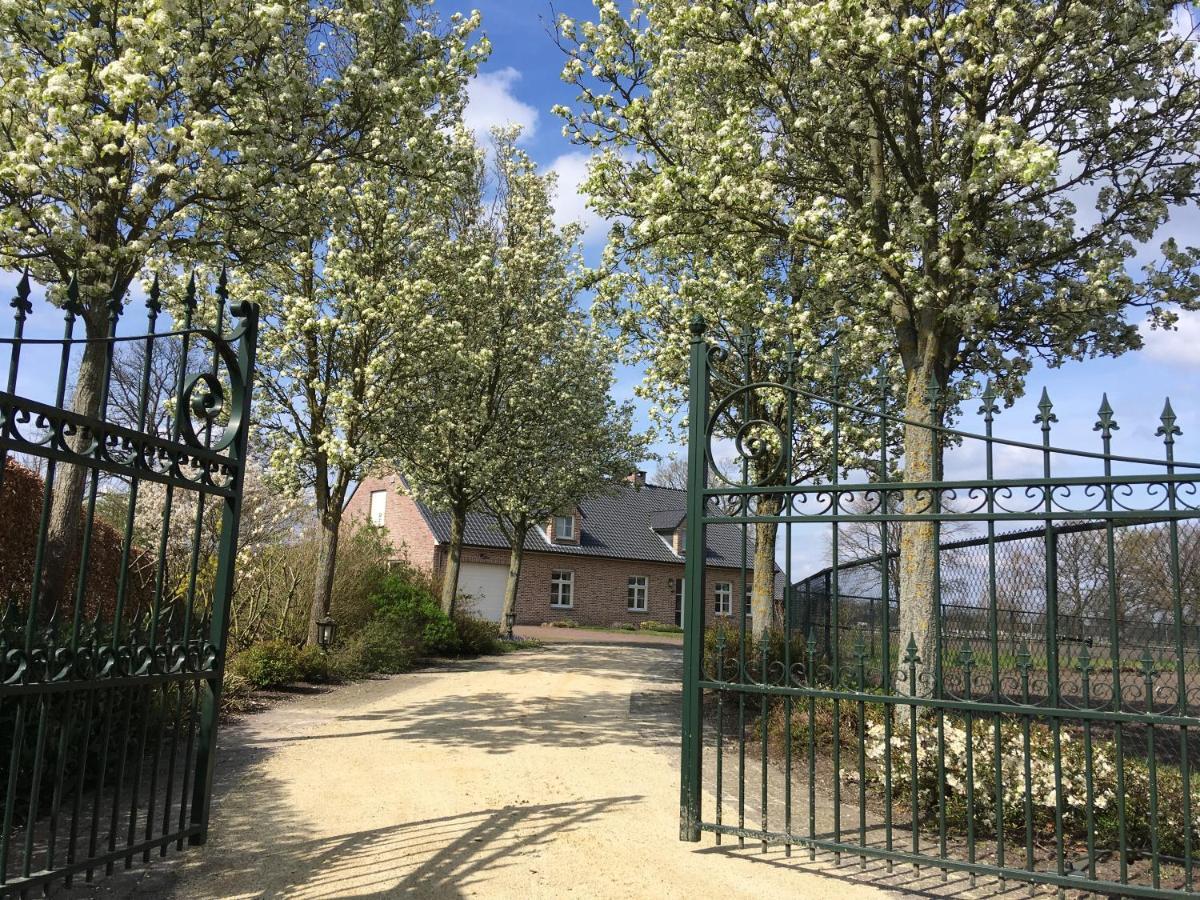 Vakantiewoning Pelterheggen Grote Heide Zewnętrze zdjęcie