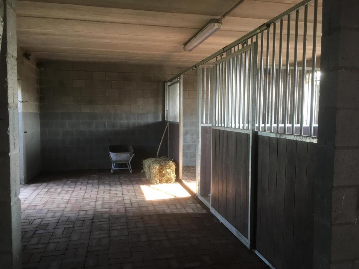 Vakantiewoning Pelterheggen Grote Heide Zewnętrze zdjęcie